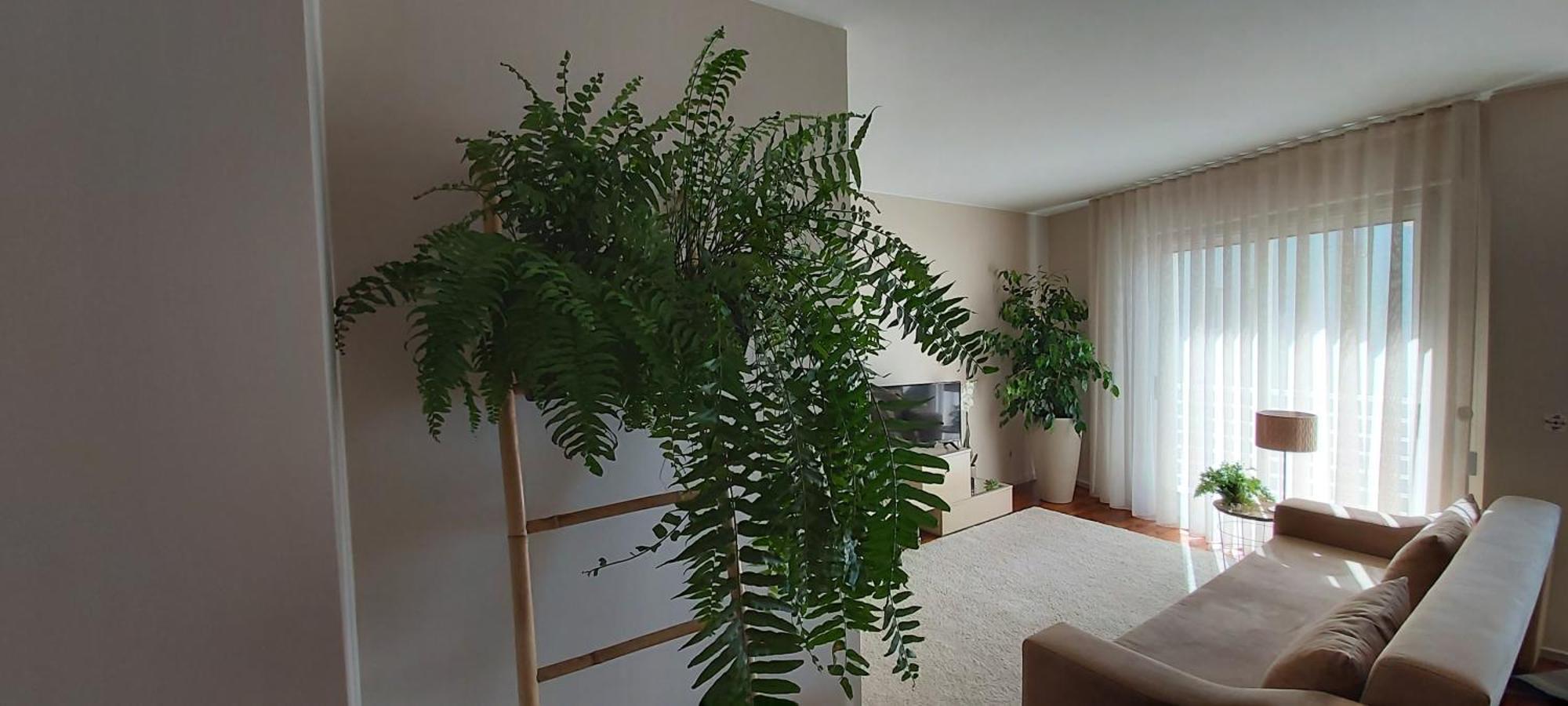 Jardim Na Praia Матозиньюш Номер фото